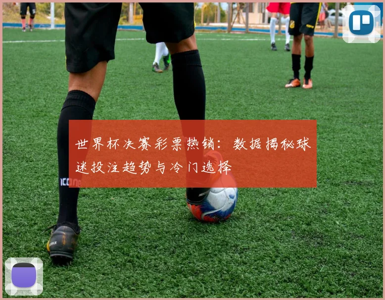 世界杯决赛彩票热销：数据揭秘球迷投注趋势与冷门选择