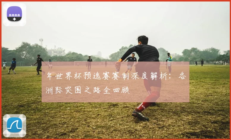 年世界杯预选赛赛制深度解析：各洲际突围之路全回顾