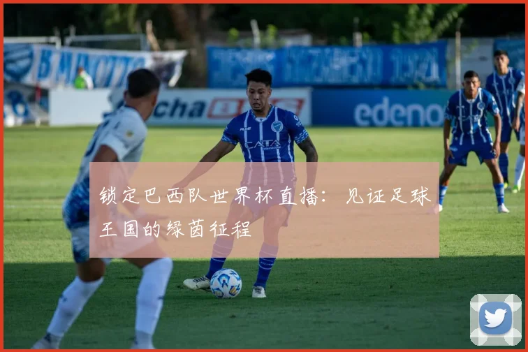 锁定巴西队世界杯直播：见证足球王国的绿茵征程