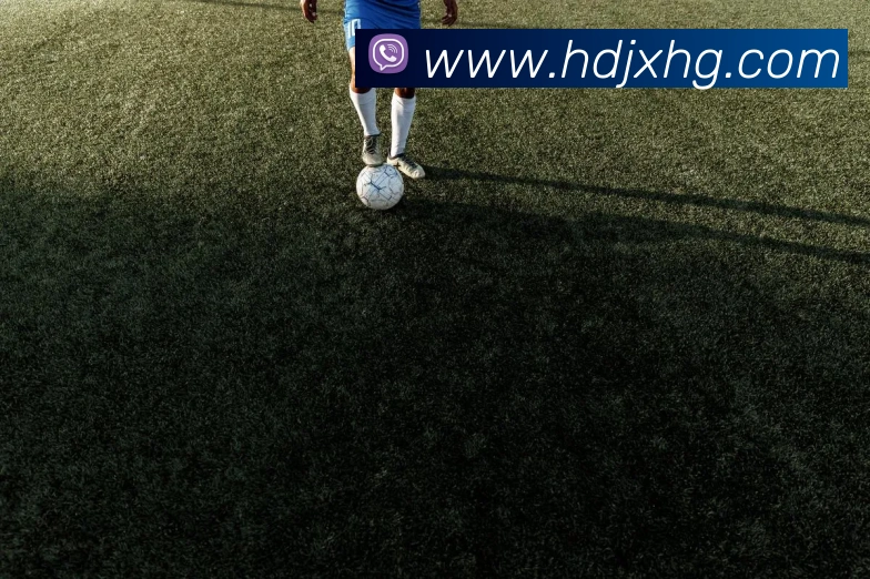 九游网页版入口官网APP 封面图